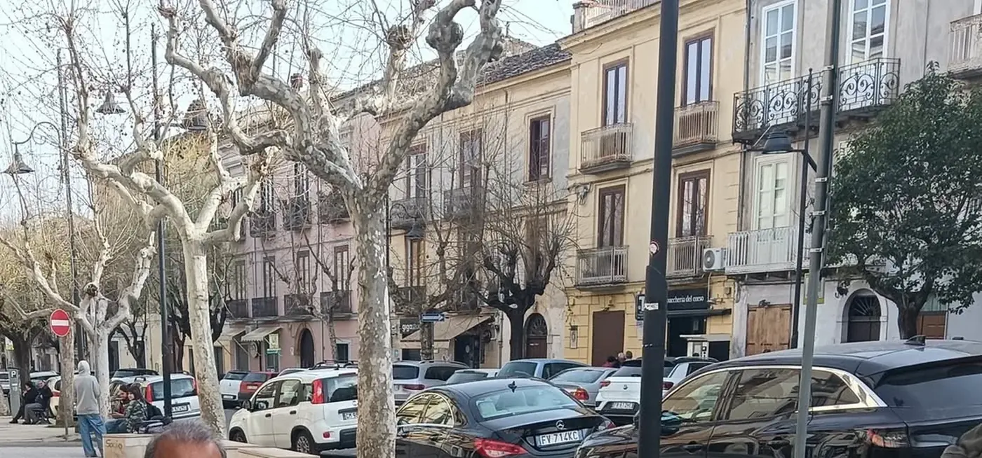 Corso Garibaldi a Castrovillari, alberato, dove si trova la pasticceria